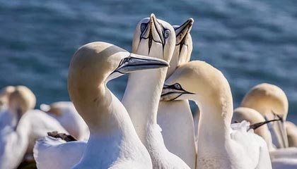 爱游戏体育平台-教练培训是否过于注重理论缺乏实战演练，教练员培训要注意哪些方面