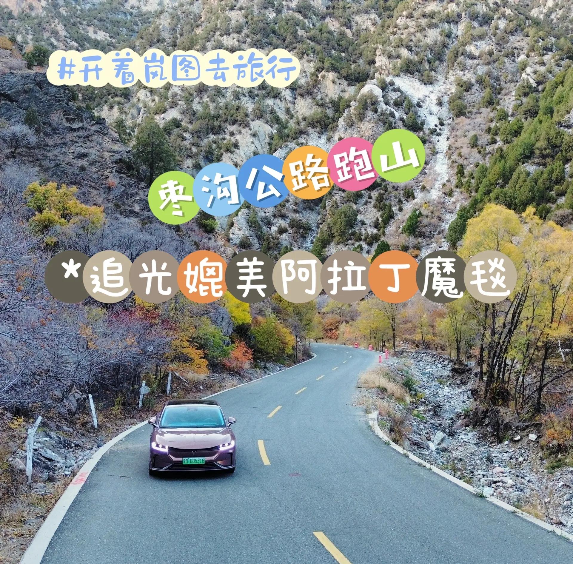 关于野外森林越野跑挑战赛,探索未知的自然秘境的信息 关于野外森林越野跑挑战赛,探索未知的自然秘境的信息