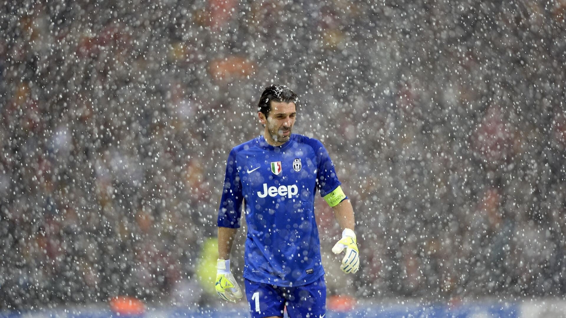 场上冲锋陷阵,场下观众欢呼,掌声雷动,冲锋陷阵上战场是什么动物