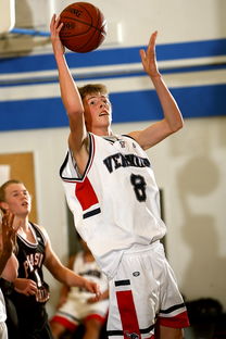 爱游戏体育（AYX）官方APP下载-中国篮球青少年篮球推广路径创新研究，《中国青少年篮球训练教学大纲》